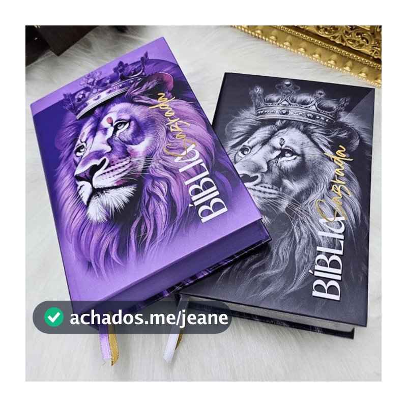 Kit 2 Bíblias Sagradas Feminina Masculina Harpa Cristã Letras MÉDIAS Personalizada Vermelho Roxa Fé