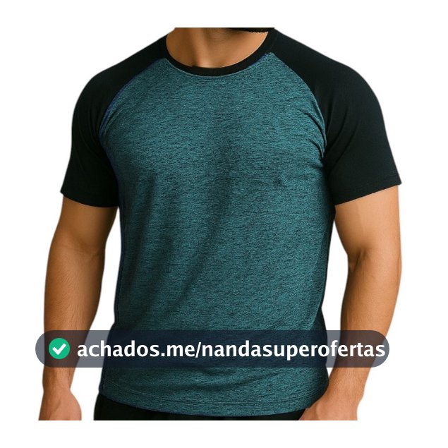 Camiseta Masculina Raglan Dry Fit Academia Fitness Duas Cores Treino