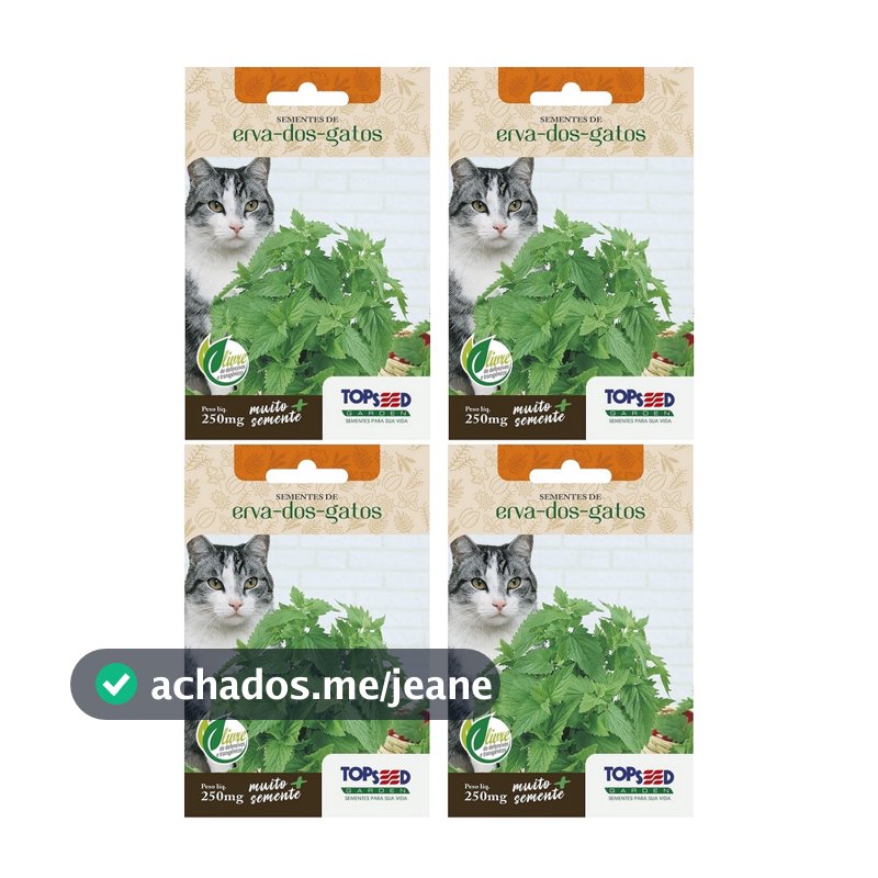 4X Sementes Erva Dos Gatos (Nepeta Cataria) Catnip TOPSEED
