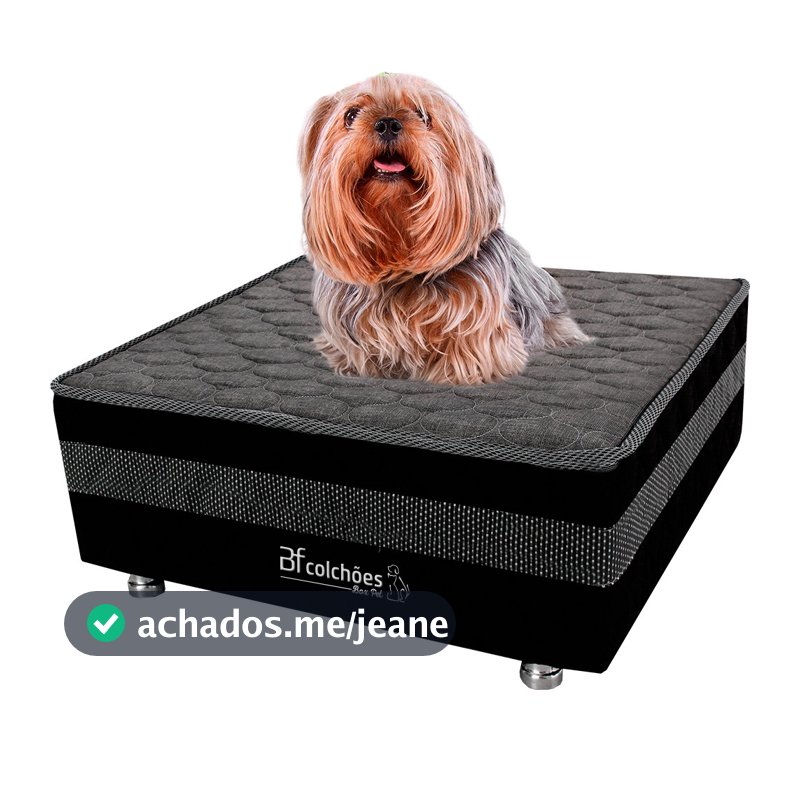 Cama Box Pet Com Lençol Impermeável Branco Para Cachorros e Gatos 60x60x24cm BF Colchões