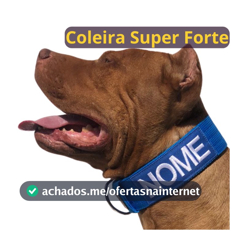 Coleira personalizada para cachorro de médio e grande porte.