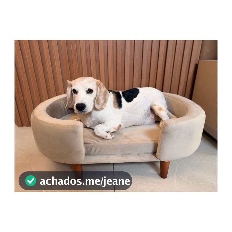 POLTRONA SOFÁ CAMA PET LUXO Linho e Veludo Com Almofada, ESPAÇOSA 90CM - Ideal para cães e gatos.
