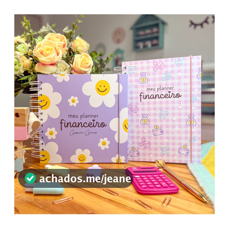 Controle financeiro, minhas contas organizadas, meu planner financeiro, controle financeiro completo, planner financeiro