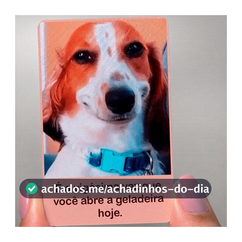 Imã meme cachorro rindo vigésima vez que abre a geladeira
