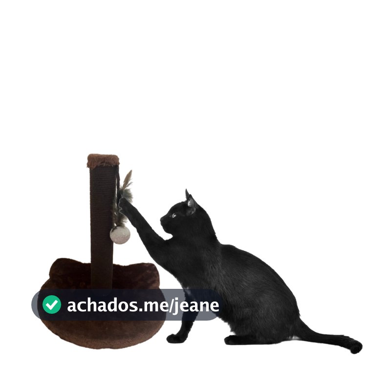 Brinquedo Arranhador Cara de Gato Marrom