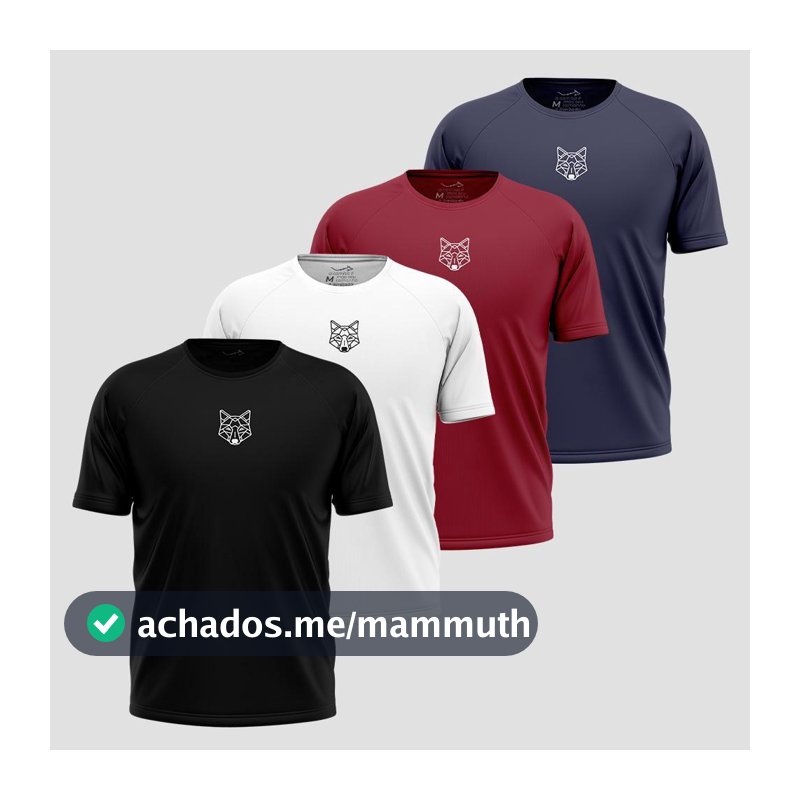 Kit 4 Camisetas Masculina Dry Alpha Co