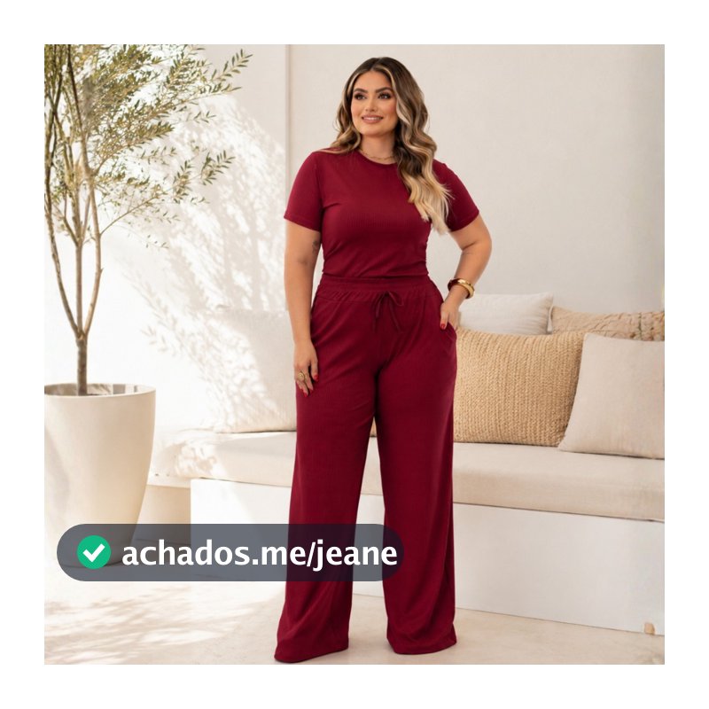Conjunto Feminino Plus Size Elegante Calça Pantalona e Blusa de Manga Aerolook