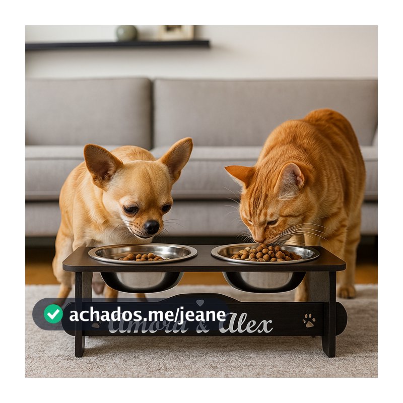 Comedouro Bebedouro PERSONALIZADO Elevado Para Cachorro e Gato Com TAMPAS +  2 Tigelas Inox