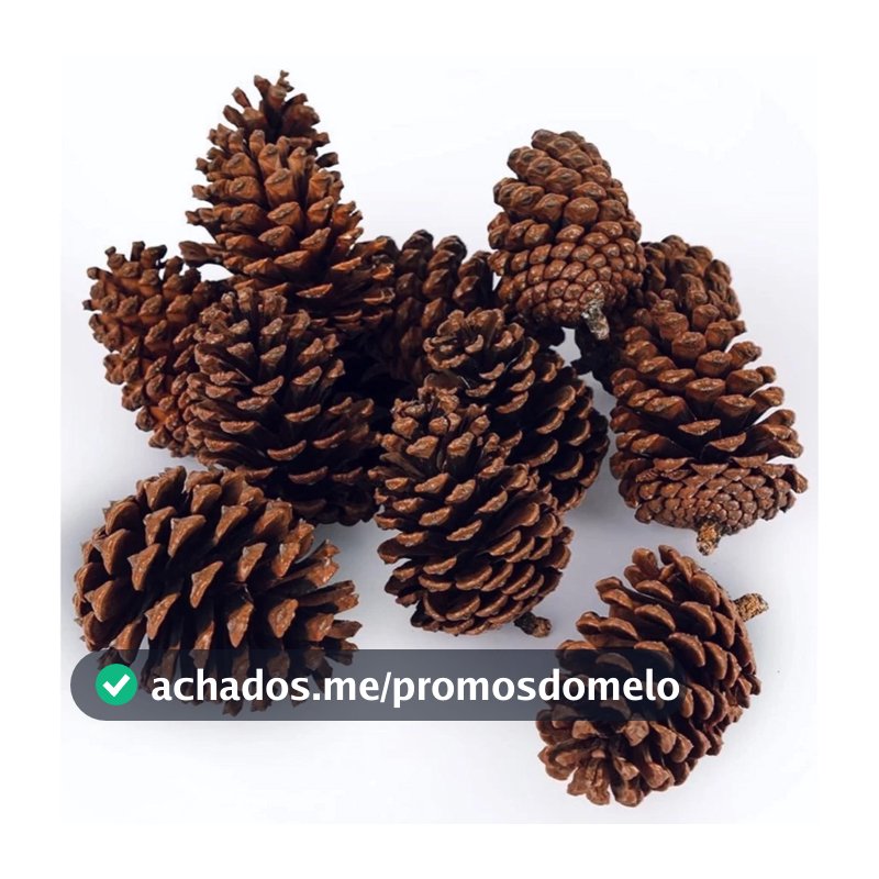 Kit 20 Pinha Decoração Enfeite Natal Artesanato Natural Aves