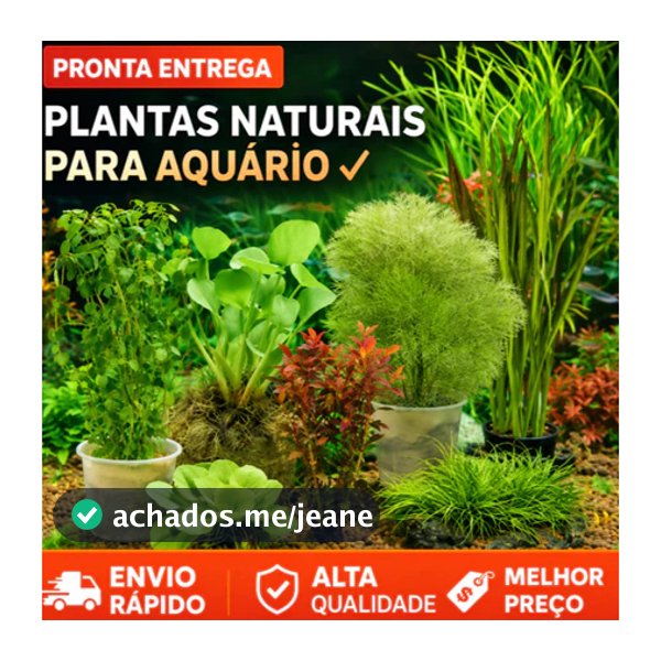 Decoração para Aquário - Elodea, Vallisneria, Microsorum, Anubia, Musgo