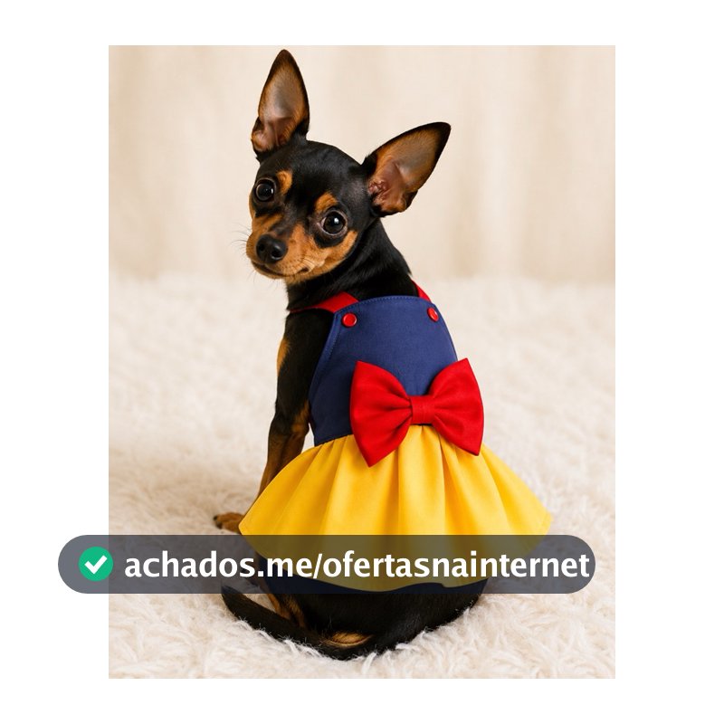 Vestido Pet para Cachorro com Laço | Roupa para Cachorra Pequena | Tamanhos RN ao 4