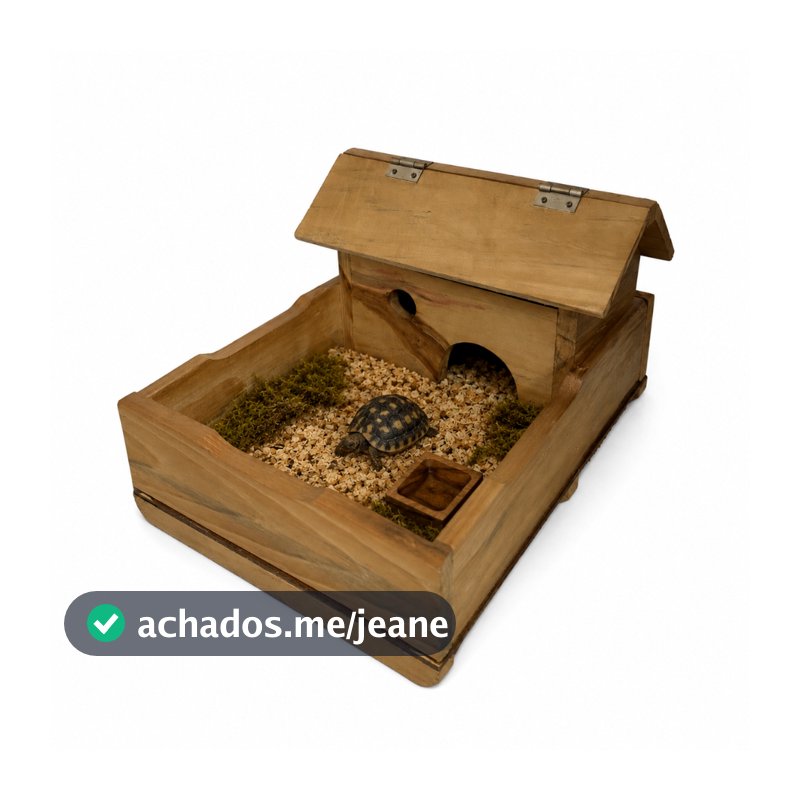 Mini Terrário Casa Jabuti Madeira Habitat + Serragem