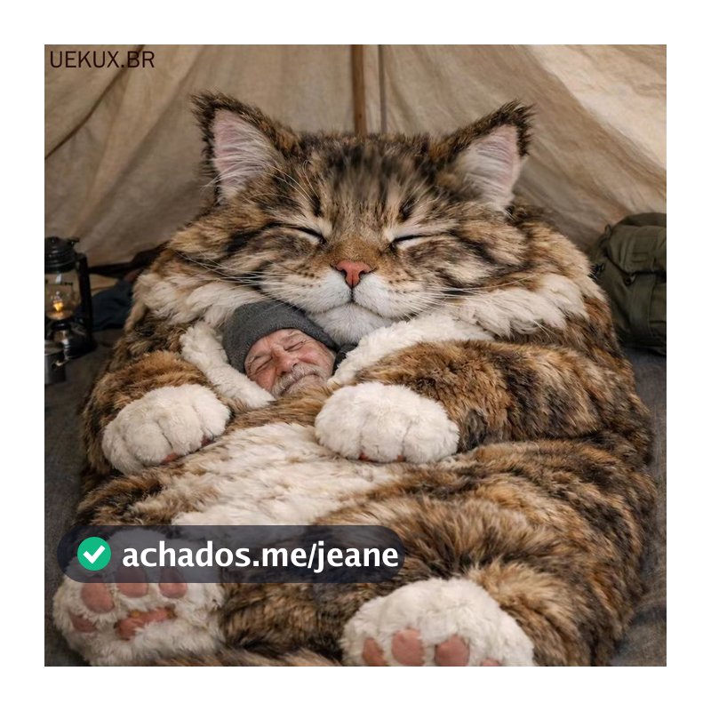 Espreguiçadeiras De Chão De Pelúcia Em Forma De Gato Para Adultos , Saco De Dormir Lavável E Macio Adequado A Pele Viage