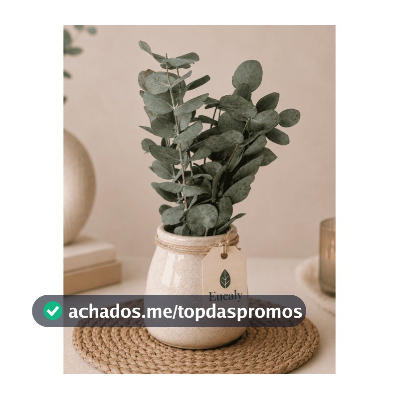 Buquê de Eucalipto Desidratado Natural Decorativo 10 Hastes Aroma Suave Decoração Boho Minimalista