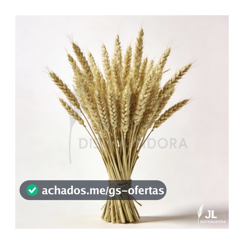 20 Hastes de Trigo Seco Decoração Farmhouse Enfeites para Sala Elegante Arranjo Artesanato Buquê