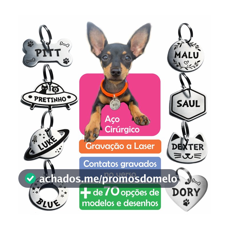 Placa De Identificação Pet / Cachorro / Gato / Gravada Laser