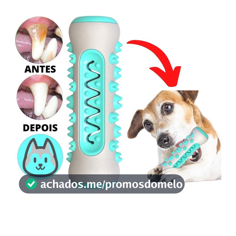 Brinquedo Pet 3x1 Mordedor Osso Massageador Gengiva Removedor Tártaros Escova de Dente Para Pets