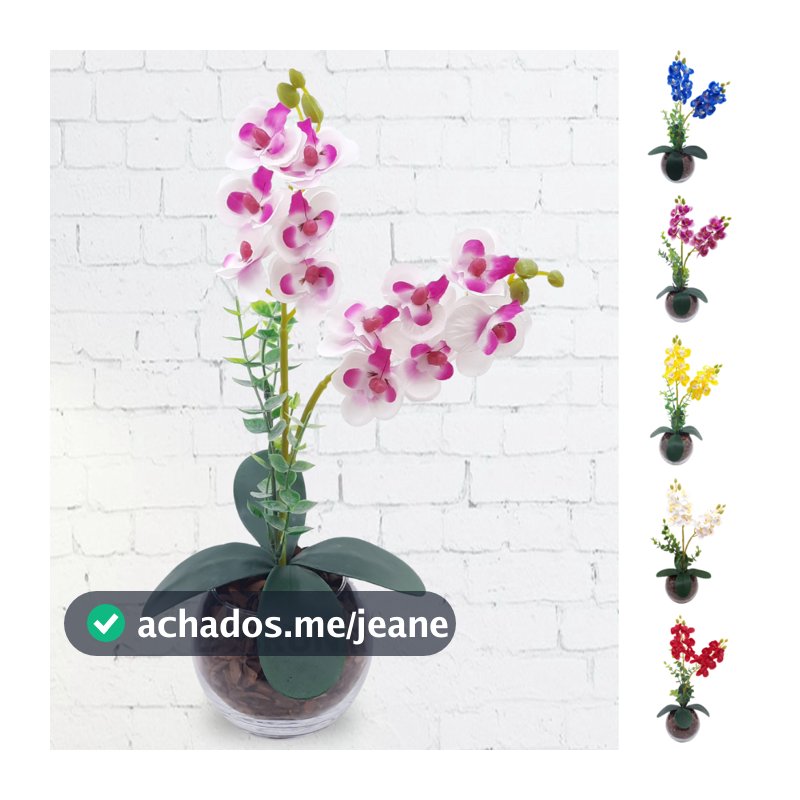 Arranjo Completo de Mini Orquidea com Vaso e Cascas de Pinus Natural