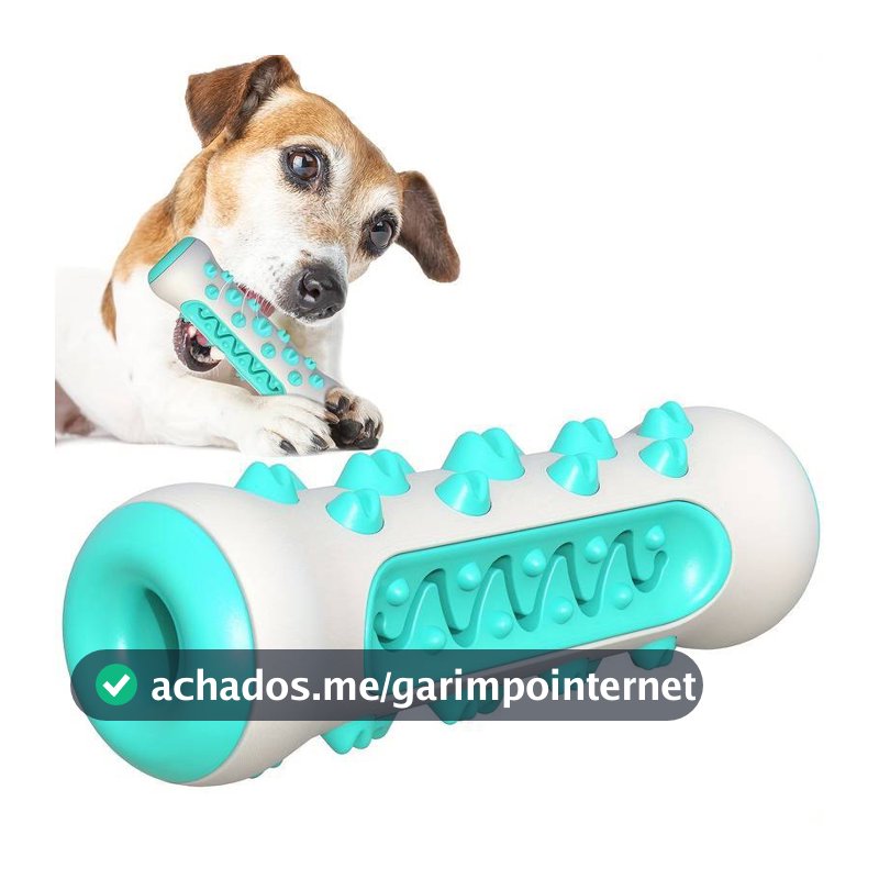 Brinquedo Mordedor Para Cachorro Saúde Dental Modelo de Osso