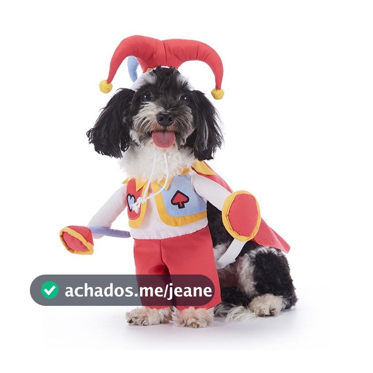 Cos Palhaço Halloween Roupas Engraçadas De Cachorro De Desenho Animado