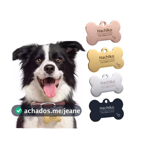 Plaquinha De Identificação Personalizada Para Animais De Estimação