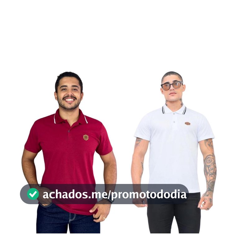 Kit 2 Camiseta Polo Fio 30 Bordada Algodao Manga Curta