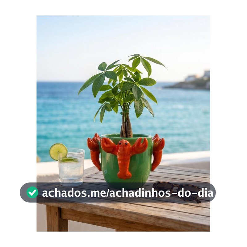 Vaso Lagosta