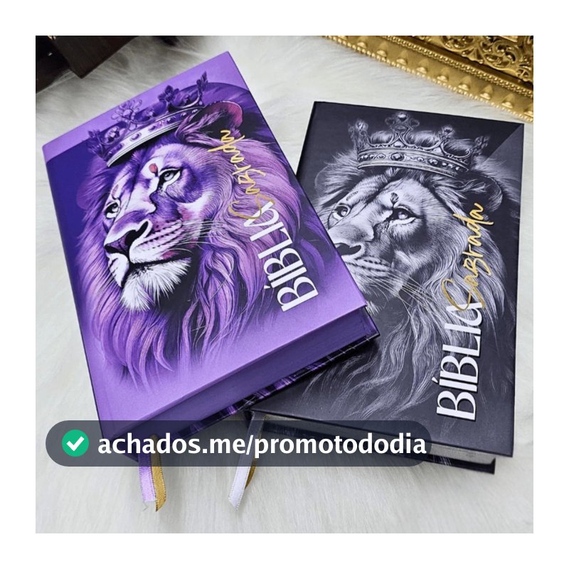 Kit 2 Bíblias Sagradas Feminina Masculina Harpa Cristã Letras MÉDIAS Personalizada Vermelho Roxa Fé