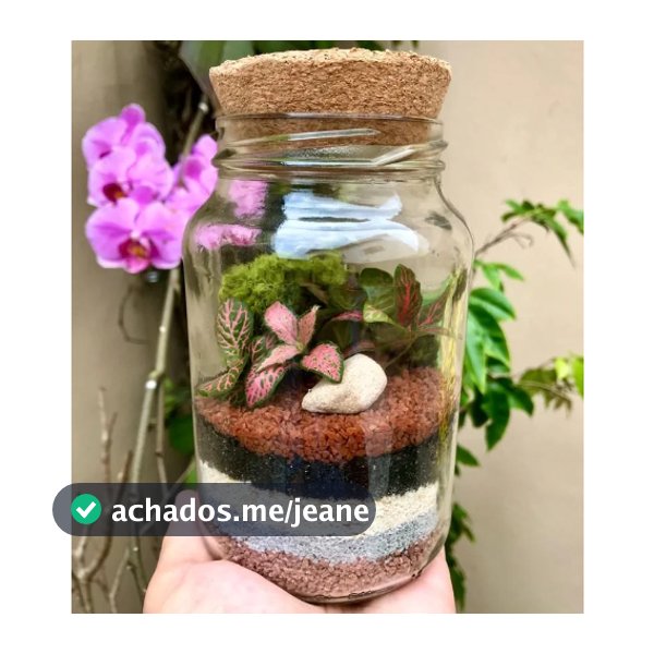 Kit terrário fechado DIY (Monte você mesmo em casa) mini jardim - Presenteável