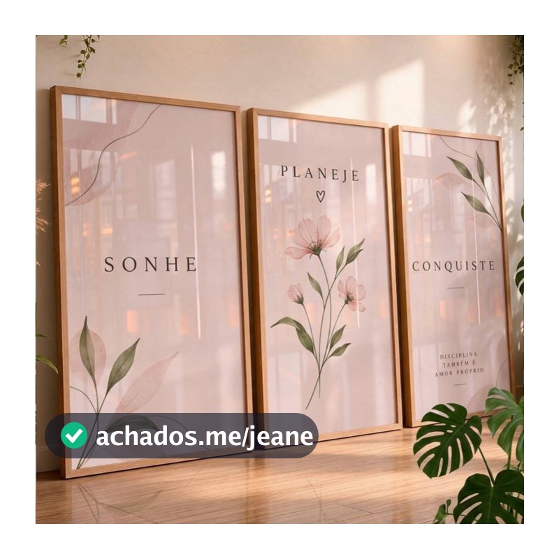 Quadros Decorativos Sonhe Planeje Conquiste Floral Rosa Sala Quarto Kit 3 Peças Luxo Hall