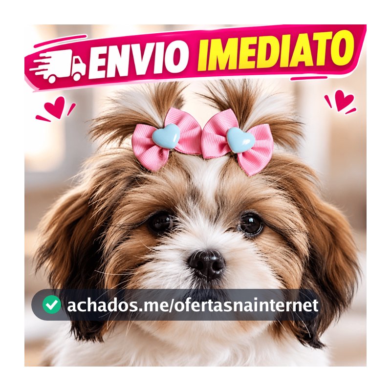 Kit 100/40/20 Laços Pet Lacinho Borboleta de Cetim e Gorgorão Cachorro Fêmea Acessórios Fofos Pet Shop Banho e Tosa