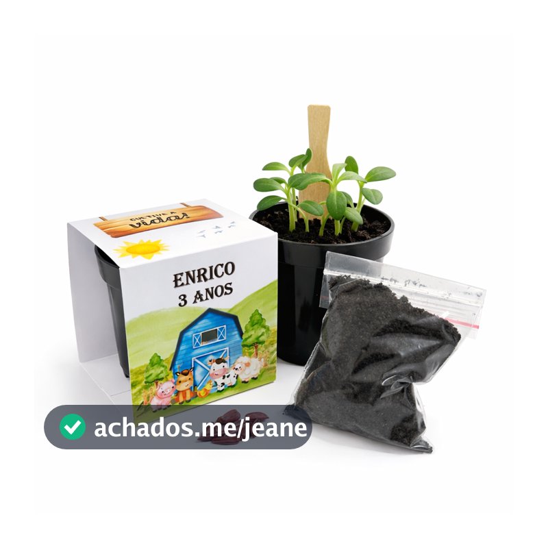Lembrancinha Para Plantar Personalizada Kit Plantio Fazendinha Lembrancinha Ecológica Aniversário