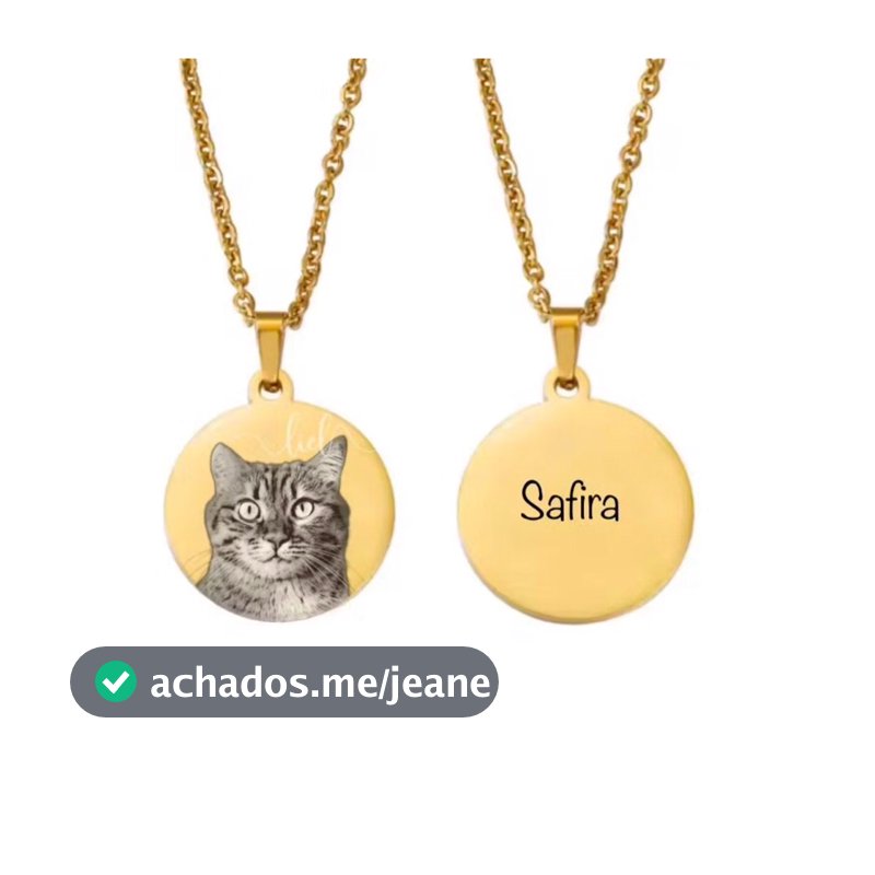 Colar Medalha Personalizada Pet Frente Verso Aço Presente Gato Cachorro