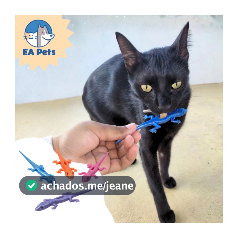 Brinquedo Da Pet Games Com 4 Lagartixas Porta Petiscos Para Caçar De Forma Divertida E Interativa