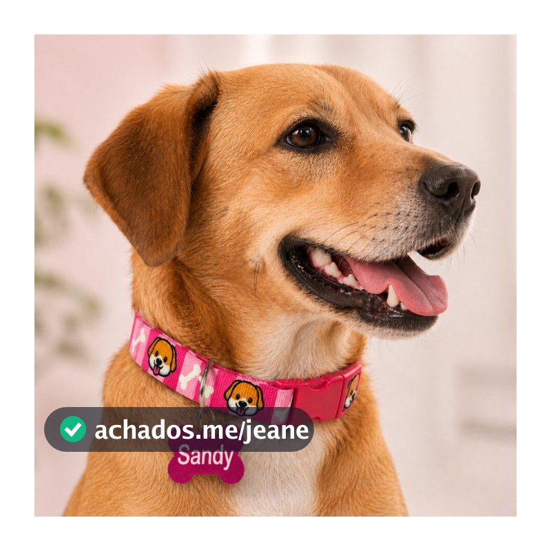 Coleira Para Cachorro Regulável com Pingente de Osso Pet Luxo Passeios Cães - Linha Aumigos Personalizados