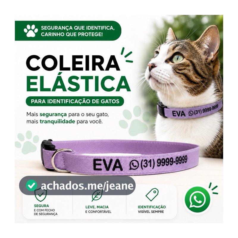 Coleira de gato elástica com nome e telefone whatsapp - Coleira para gato identificação