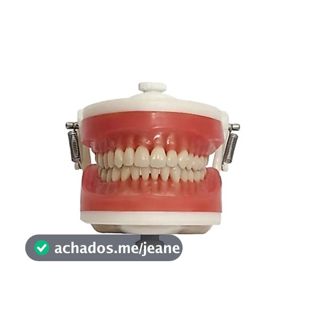 Manequim Top Dentística Pd100 - Pronew
