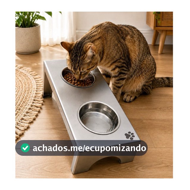 Comedouro de gatos e cachorros em aço inoxidável