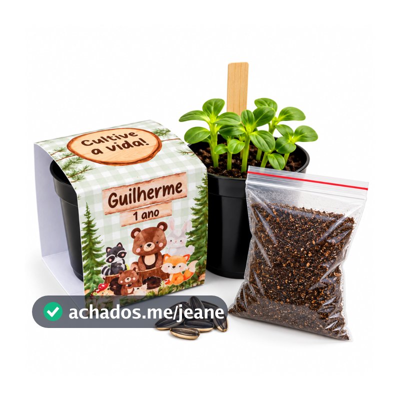 Lembrancinha Para Plantar Personalizada Kit Plantio Bosque Encantado Lembrancinha Ecológica Aniversário