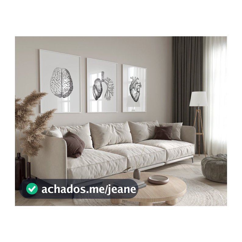Quadro Decorativo Anatomia Humana, decoração casa Quadro Decorativo Medicina cerebro