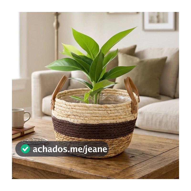 Cestos Palha Rattan Cachepot Vime Boho Decoração Rustico Varios Tamanhos Plastificad Vaso Fibra Natural Palha Decorativo