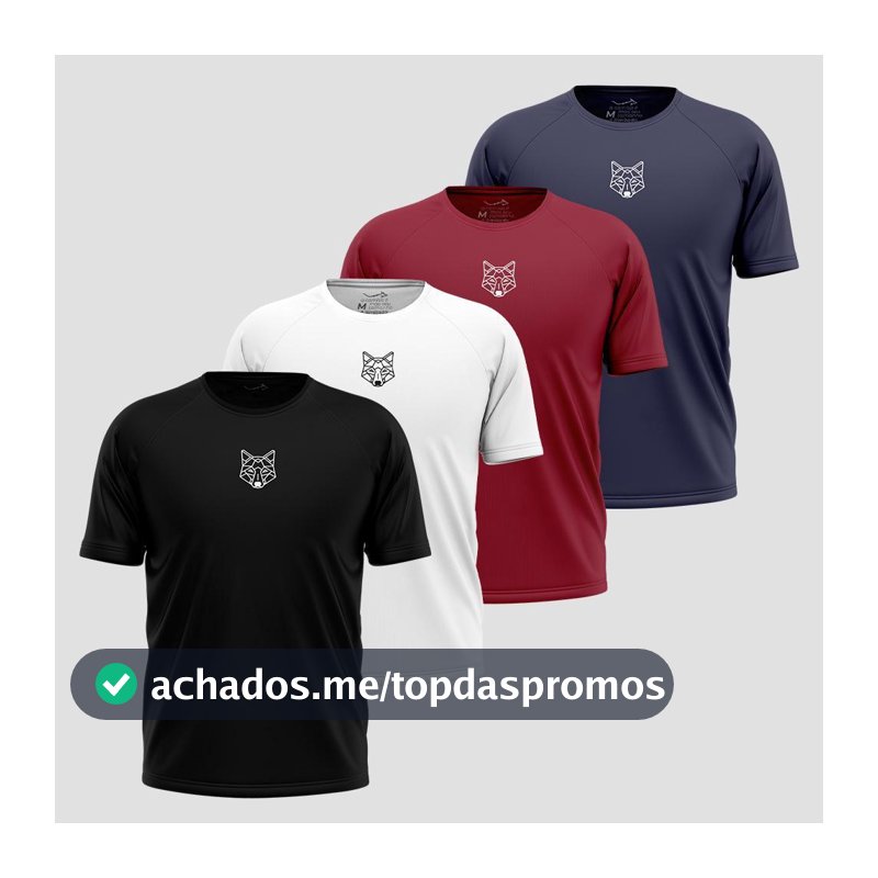 Kit 4 Camisetas Masculina Dry Alpha Co
