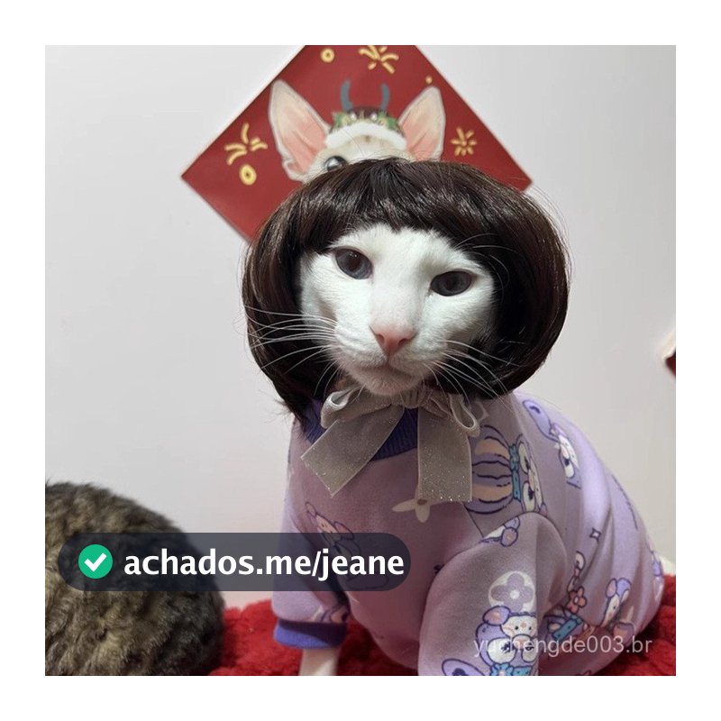Perucas engraçadas para cães e gatos, perucas de estudante, afros de palhaço com franja, acessórios de Halloween para an