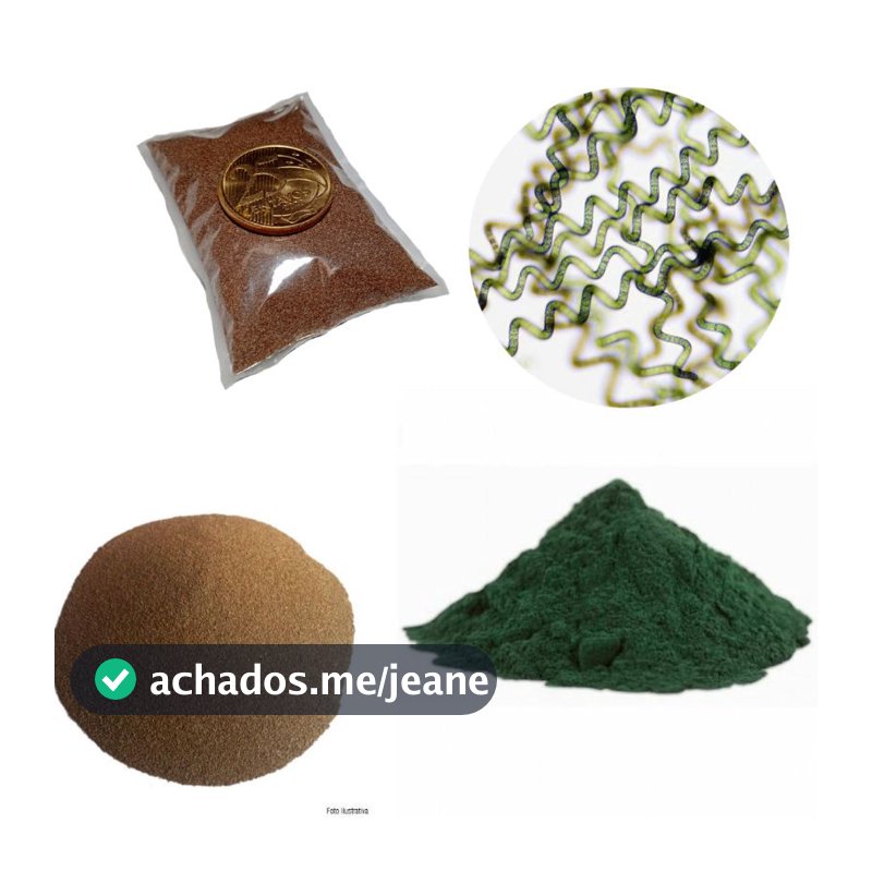 Artêmia Salina + Spirulina