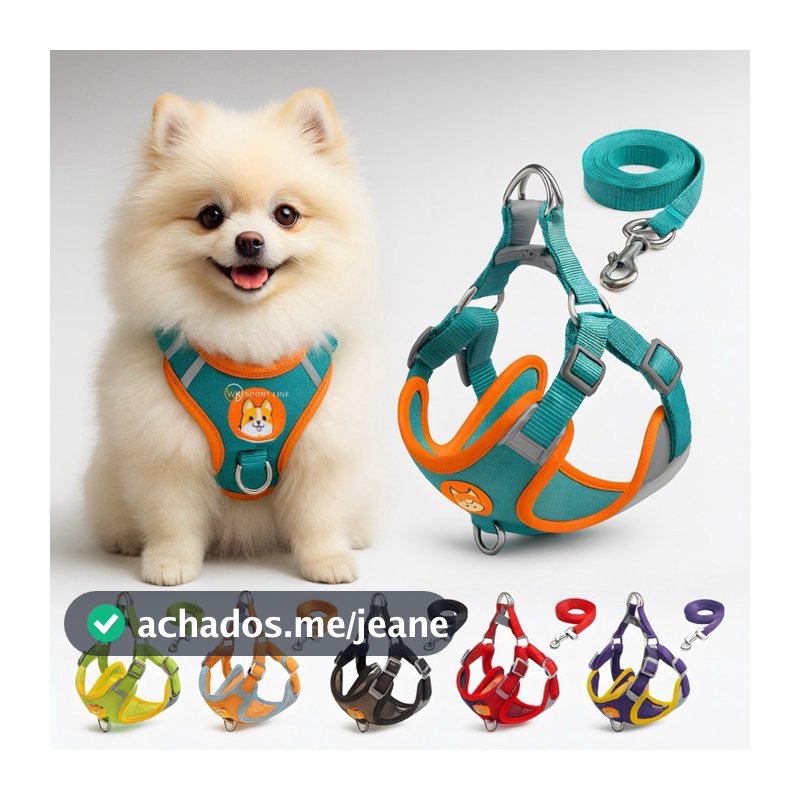 Coleira Peitoral Cachorro E Gato, Conjunto De Guia + Coleira Colete Para Pet Pequenos E Médios