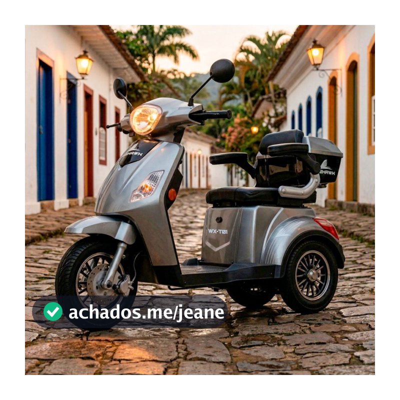 Triciclo Elétrico 800W Wehawk WX-T01 Bateria Chumbo Autonomia até 50km Autopropelido com Ré