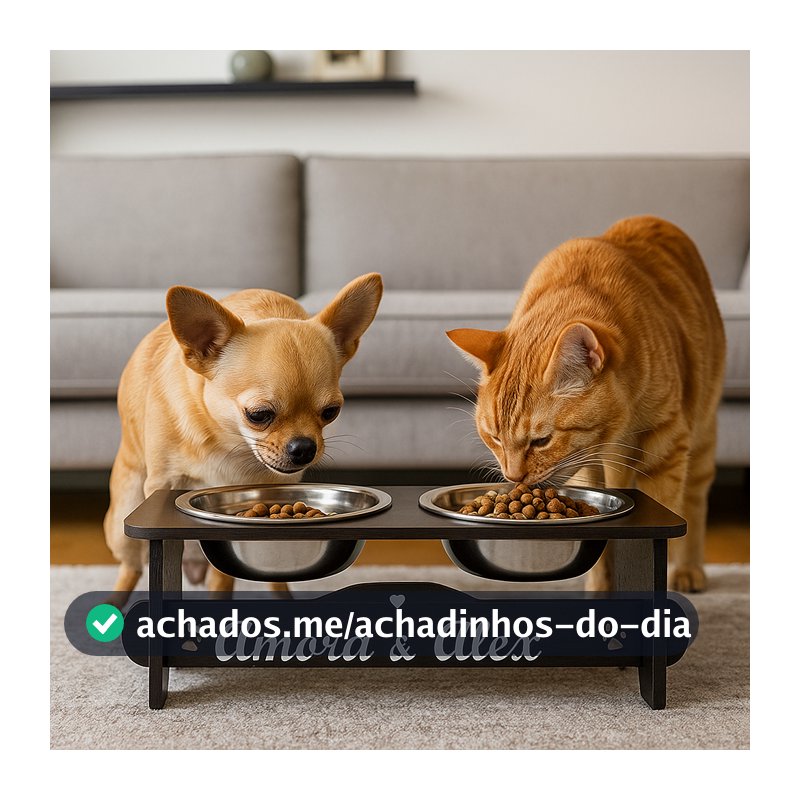 Comedouro Bebedouro PERSONALIZADO Elevado Para Cachorro e Gato Com TAMPAS +  2 Tigelas Inox