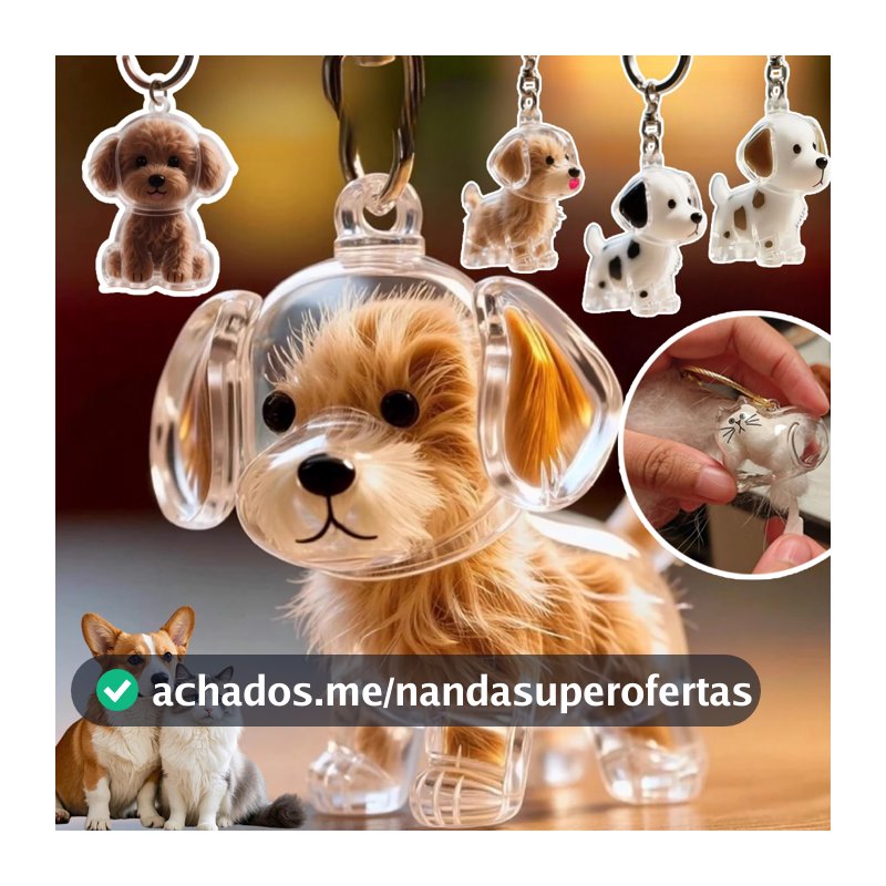 Chaveiro Criativo De Armazenamento De Cabelo Fofo Cachorro Pingente Transparente Para Animais De Estimação
