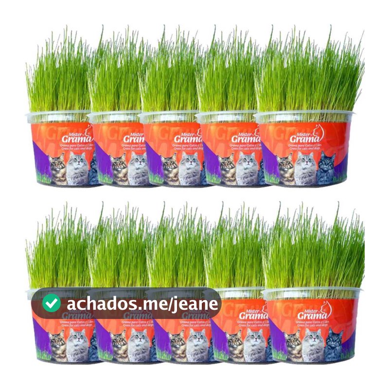 Kit 10 Graminhas Mister Para Gatos Digestão Saúde intestinal