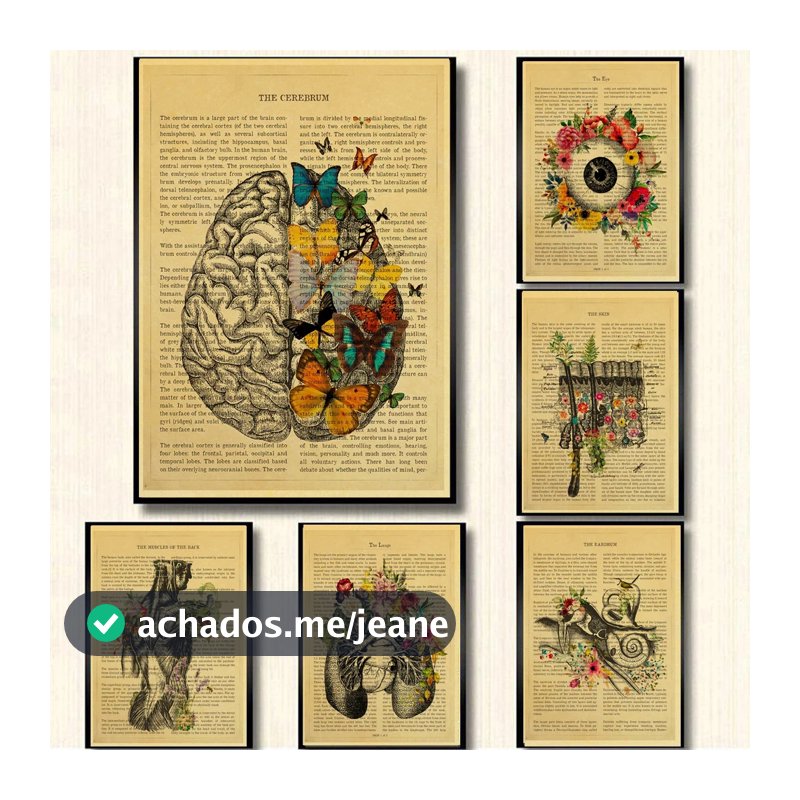 Quadro decorativo Anatomia floral coração cérebro órgãos médicos cartaz  decoração, Corpo humano